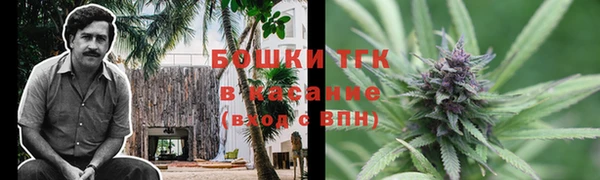 мет Алексин