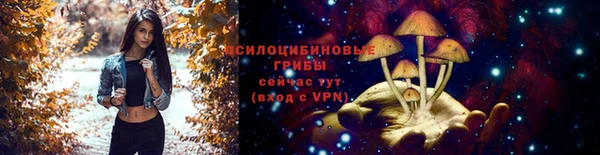 трава Касимов
