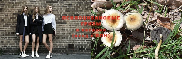 дживик Абинск