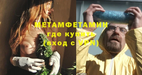мет Алексин