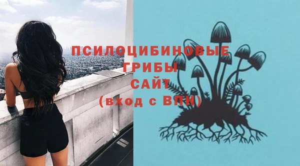 мет Алексин