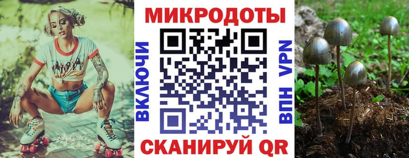Псилоцибиновые грибы Psilocybine cubensis купить наркотик Братск